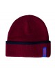 GORRO A FISH NAMED FRED
