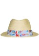 SOMBRERO A FISH NAMED FRED
