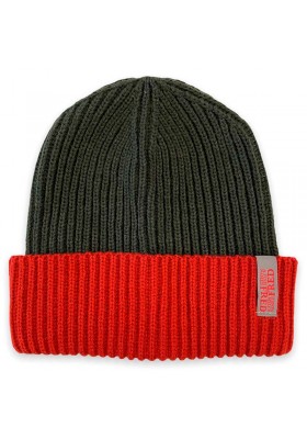 GORRO A FISH NAMED FRED