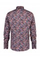 CAMISA CINEMA A FISH NAMED FRED